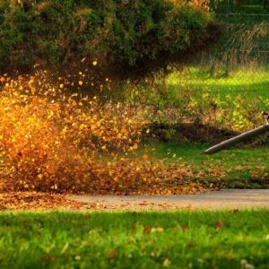 Guide to Choosing the Right Gas Leaf Blower