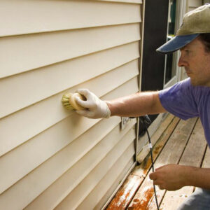 Home mold removal – Getting the right service